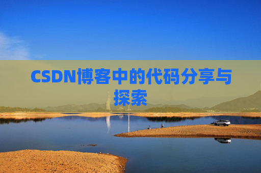 CSDN博客中的代码分享与探索